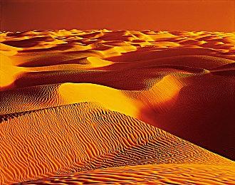 任天堂Switch 2在线服务GameCube系列经典游戏展示